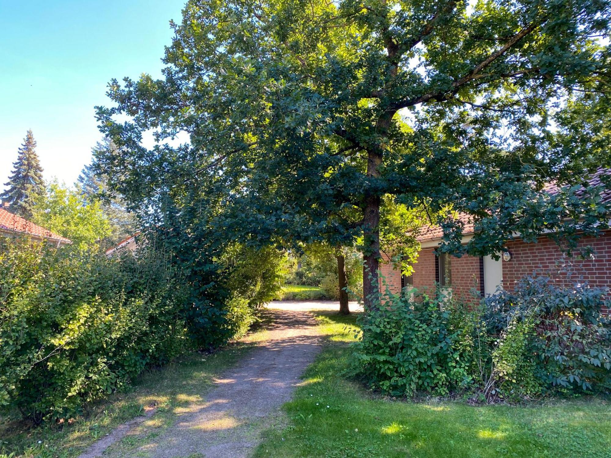 Ferienhaus Wiesengefluester W10 - Mit Sauna, Kamin Und Garten Röbel Buitenkant foto